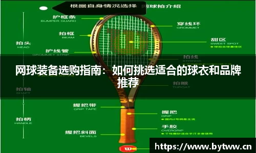 凤凰联盟平台